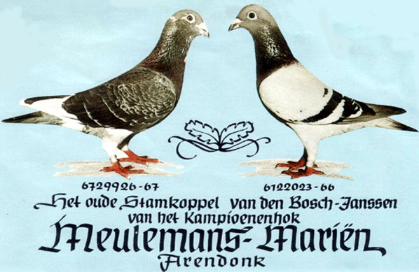 30287589_11.jpg