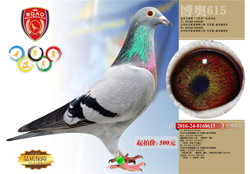 31副本.jpg