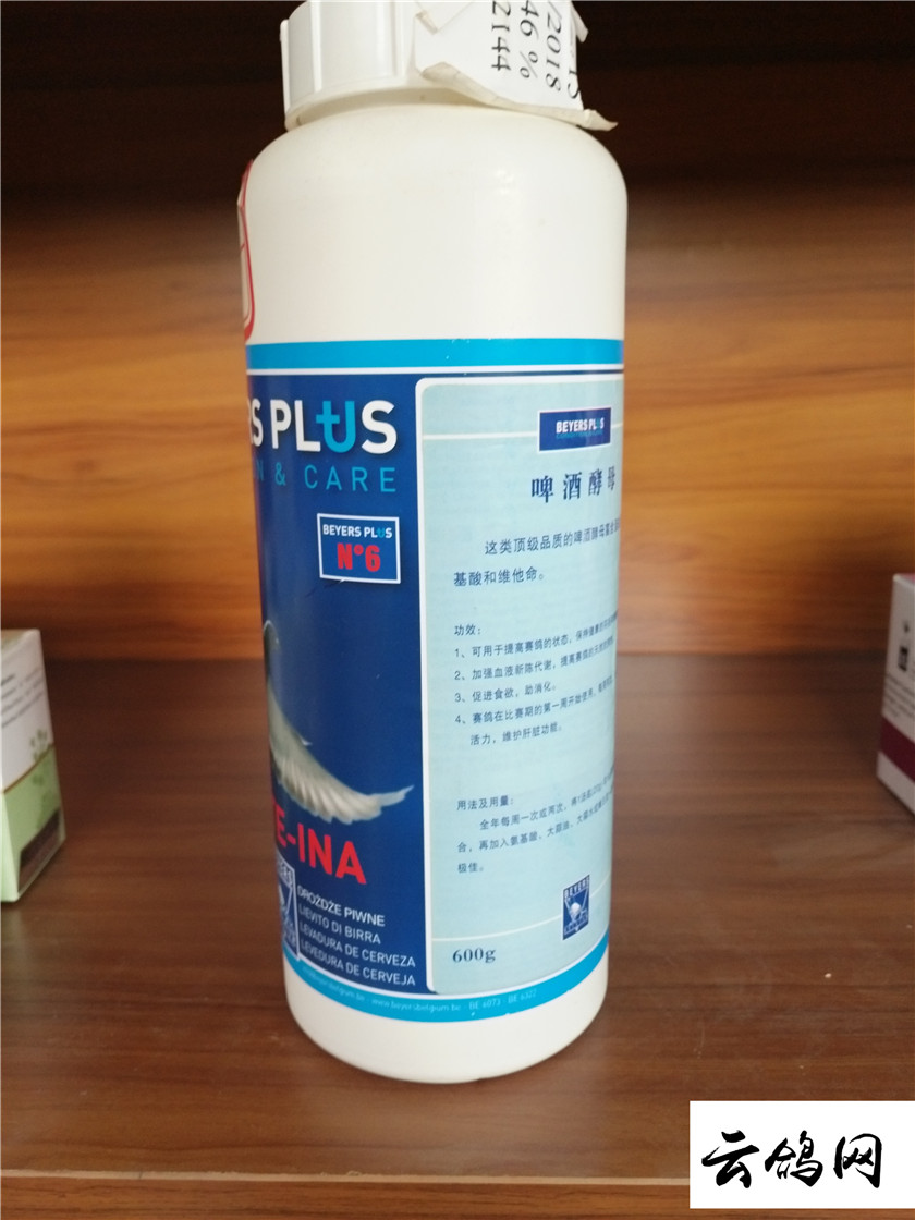 啤酒酵母